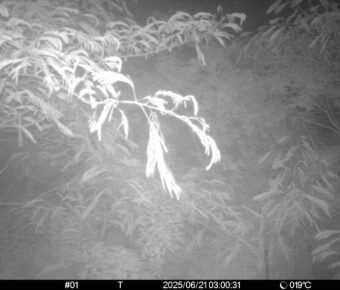 Jun 21 2025  3:00:31, #01