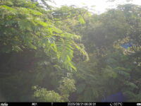 Jun 21 2025  6:00:31, #01