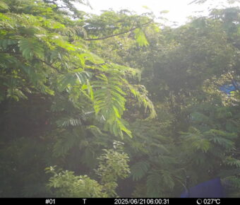 Jun 21 2025  6:00:31, #01