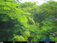 Jun 21 2025  9:00:32, #01