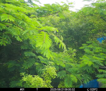 Jun 21 2025  9:00:32, #01