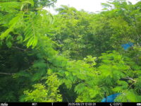 Jun 21 2025 12:00:31, #01