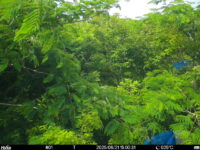 Jun 21 2025 15:00:31, #01