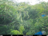 Jun 21 2025 18:00:32, #01