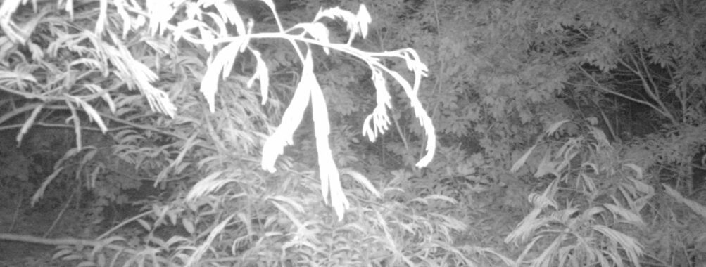 Jun 22 2025  0:00:30, #01