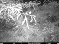 Jun 22 2025  0:00:30, #01