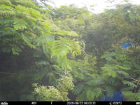 Jun 22 2025  6:00:31, #01