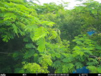 Jun 22 2025  9:00:31, #01