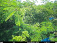 Jun 22 2025 12:00:32, #01