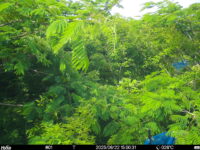 Jun 22 2025 15:00:31, #01