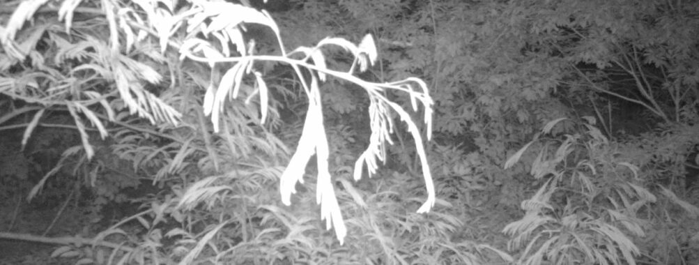 Jun 22 2025 21:00:32, #01