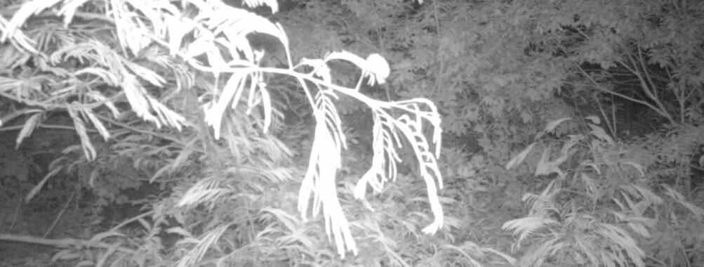 Jun 23 2025  3:00:31, #01