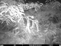 Jun 23 2025  3:00:31, #01