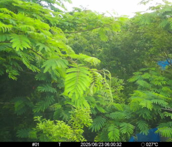 Jun 23 2025  6:00:32, #01