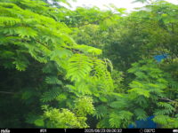Jun 23 2025  9:00:32, #01