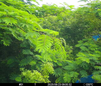 Jun 23 2025  9:00:32, #01