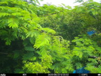 Jun 23 2025 12:00:32, #01