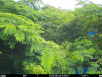 Jun 23 2025 15:00:31, #01