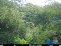 Jun 23 2025 18:00:32, #01