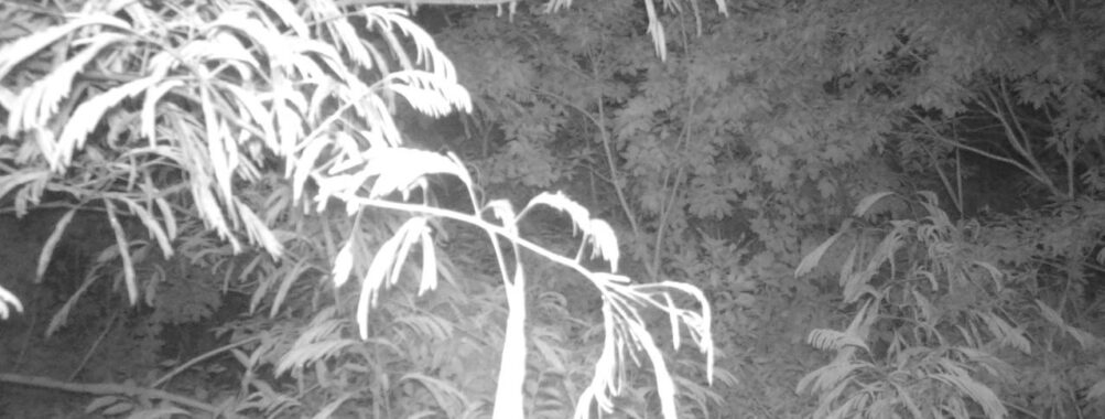 Jun 23 2025 21:00:32, #01
