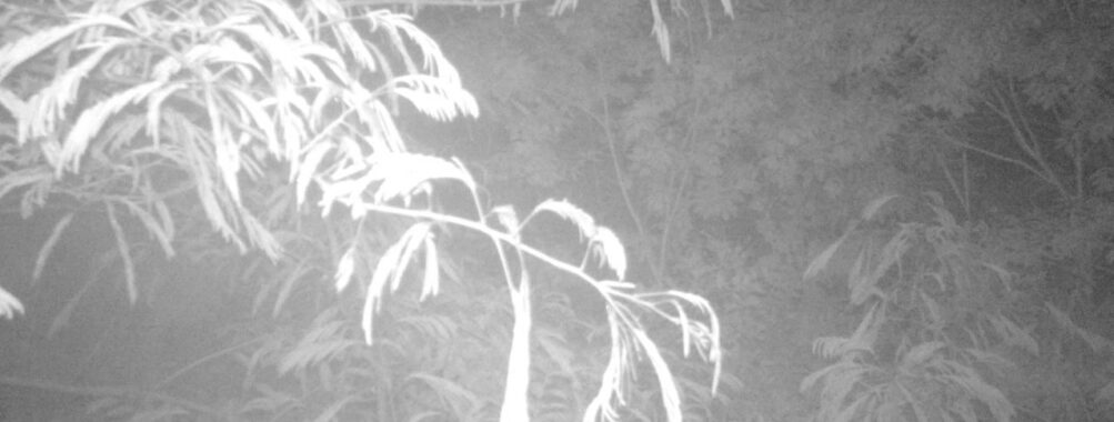 Jun 24 2025  0:00:30, #01