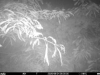 Jun 24 2025  0:00:30, #01