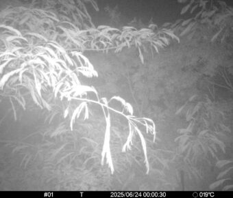 Jun 24 2025  0:00:30, #01