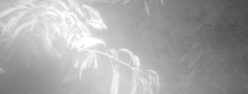 Jun 24 2025  3:00:31, #01