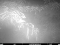 Jun 24 2025  3:00:31, #01