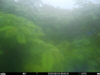 Jun 24 2025  6:00:31, #01