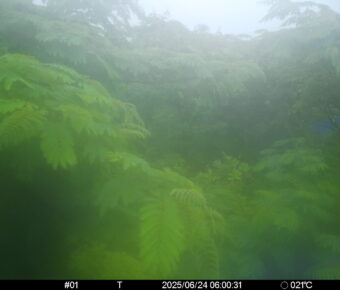 Jun 24 2025  6:00:31, #01