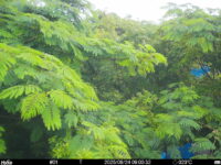 Jun 24 2025  9:00:32, #01