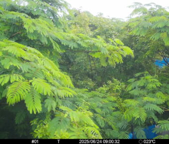 Jun 24 2025  9:00:32, #01