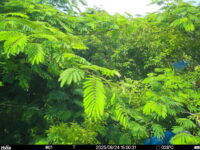 Jun 24 2025 15:00:31, #01