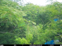 Jun 24 2025 18:00:32, #01