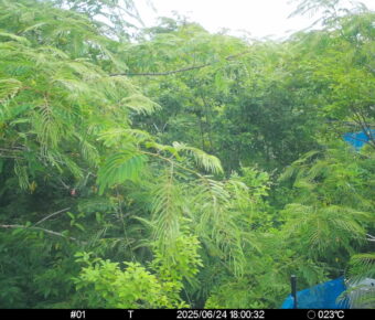 Jun 24 2025 18:00:32, #01