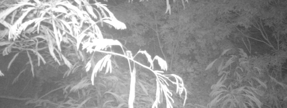 Jun 24 2025 21:00:32, #01