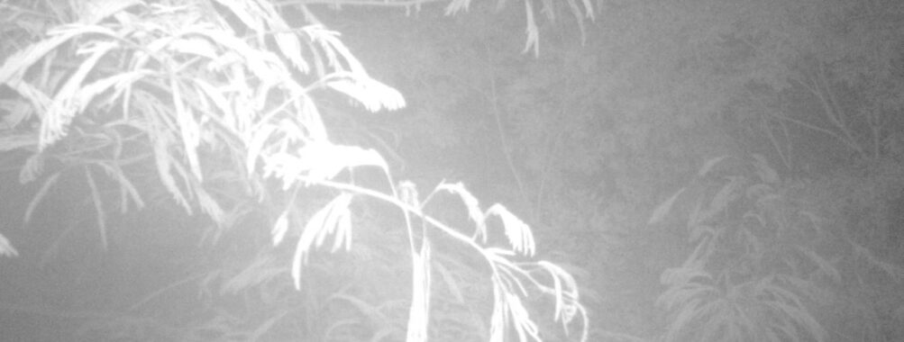 Jun 25 2025  0:00:30, #01