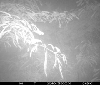 Jun 25 2025  0:00:30, #01