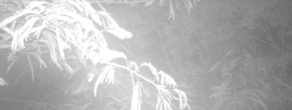 Jun 25 2025  3:00:31, #01