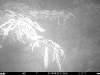 Jun 25 2025  3:00:31, #01