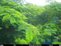 Jun 25 2025  6:00:32, #01