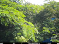 Jun 25 2025  9:00:32, #01