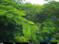 Jun 25 2025 12:00:31, #01