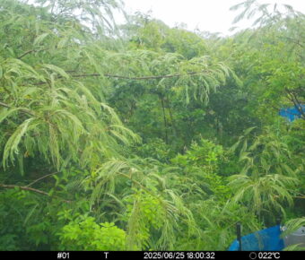 Jun 25 2025 18:00:32, #01