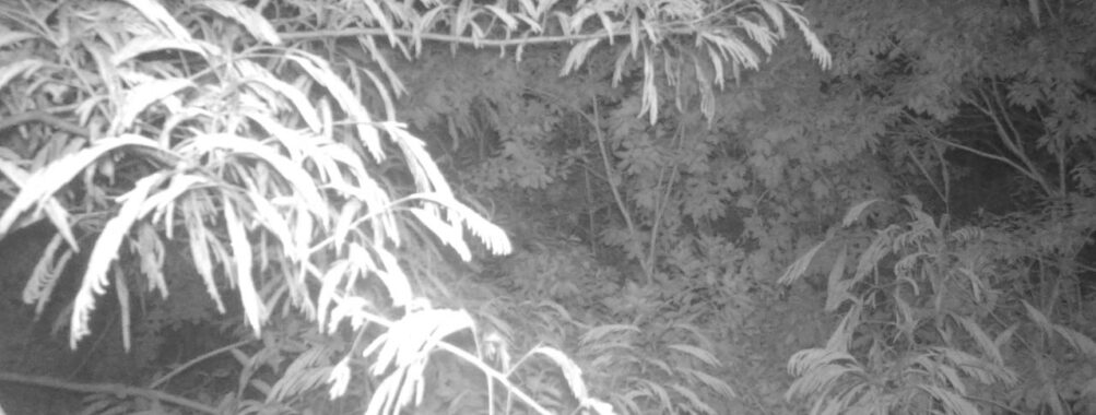 Jun 25 2025 21:00:32, #01