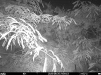 Jun 25 2025 21:00:32, #01
