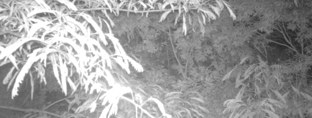 Jun 26 2025  0:00:30, #01