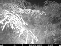 Jun 26 2025  0:00:30, #01