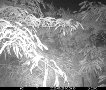 Jun 26 2025  0:00:30, #01